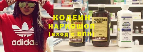 индика Балабаново