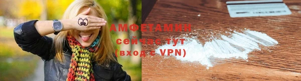 индика Балабаново