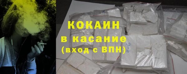 индика Балабаново