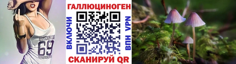 Псилоцибиновые грибы Cubensis  Терек 
